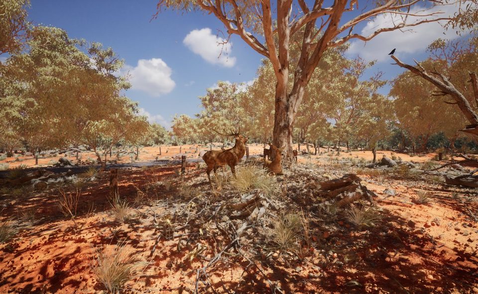 Australia world preview