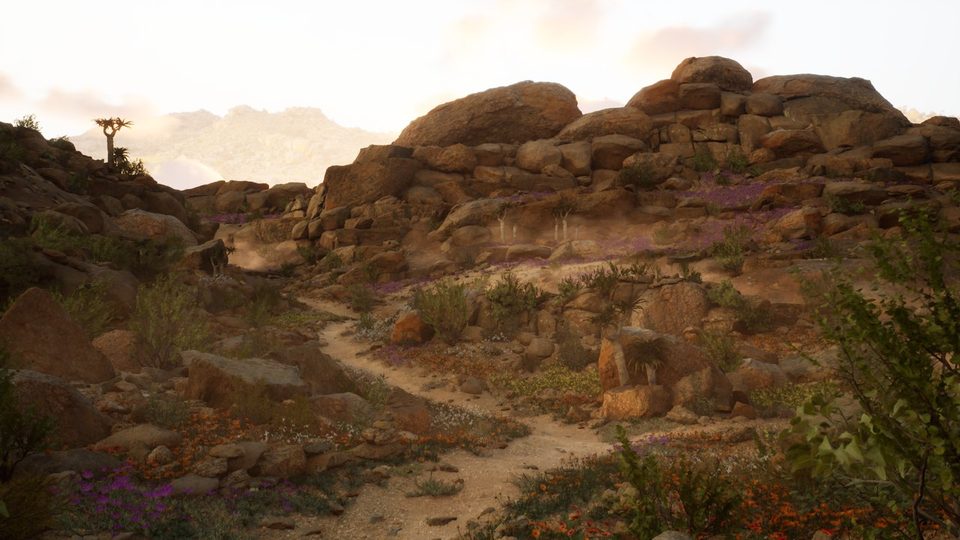 Desert world preview