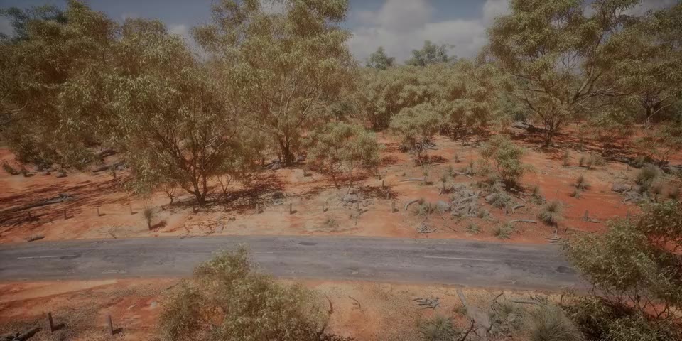 Australia world preview