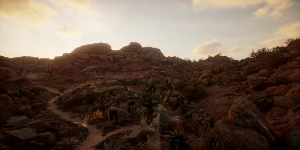 Desert world preview