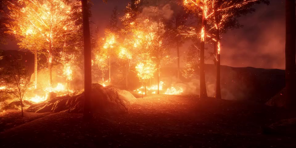 Forest Fire world preview