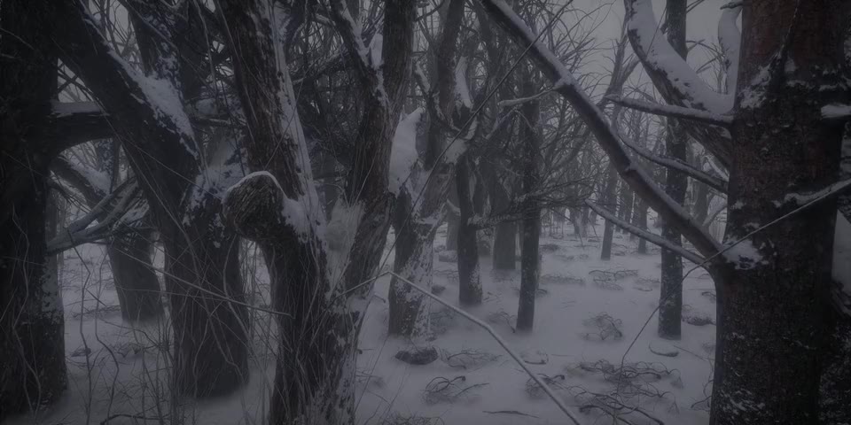 Winter Forest world preview